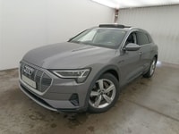 Audi E-tron 55 Quattro Advanced Aut. Pano LED-Matrix Virtual ACC Navi-Pro Leather KeylessGo Camera Klima PDC