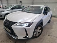 LEXUS UX UX 250h 2WD Pack Business Plus + Stage Hybrid Academy 